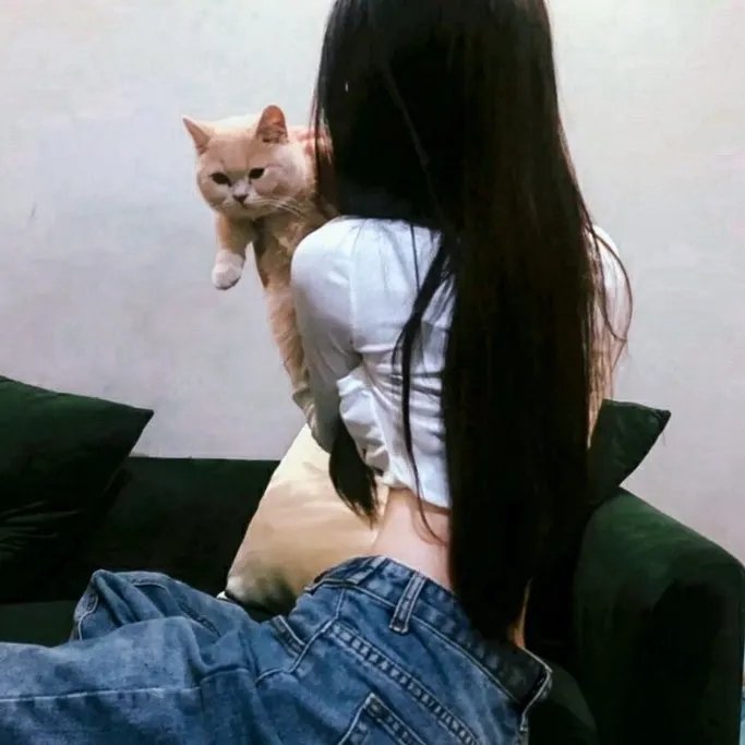 谜证